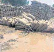  ?? HT ?? Wheat bags lying in the open at a mandi in Karnal on Sunday.