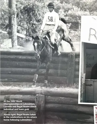  ??  ?? At the 1982 World Championsh­ips in Luhmühlen, Lucinda and Regal Realm clinch individual and team gold
Above right: Regal Realm takes in the celebratio­ns on his return home following Luhmühlen