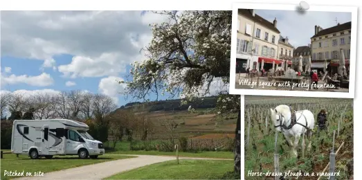  ?? ?? Pitched on site
Village square with pretty fountain
Horse-drawn plough in a vineyard