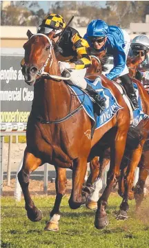  ?? Picture: MIKE BATTERHAM ?? Man Of His Word runs third in the Hollindale Stakes on the Gold Coast last year.