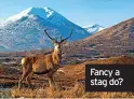  ?? ?? Fancy a stag do?