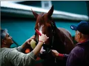  ?? ASSOCIATED PRESS ?? KENTUCKY DERBY WINNER Justify is cleaned outside a barn, Friday at Pimlico Race Course in Baltimore. The Preakness Stakes horse race is scheduled to take place Saturday.