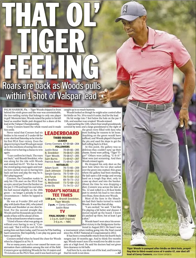  ?? USA TODAY SPORTS ?? LEADER FOLLOWERS NOTABLES 1:50 p.m. — 2 p.m. — FINAL ROUND — TODAY Tiger Woods is pumped after birdie on third hole, propelling him to third-round score of 4-under 67, one shot off lead of Corey Conners.