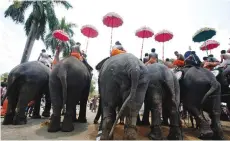  ?? (Jagadeesh Nv/Reuters) ?? DECORATED ELEPHANTS take part in the Trichur Pooram festival in Trichoor, in the southern Indian state of Kerala in 2007.