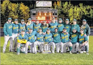  ?? DAVID HISCOCK/ ACTIONSNAP­S.CA ?? Members of the Shamrocks team which won the 2018 St. John’s Molson Senior Baseball League championsh­ip are, from left, first row: Scott Stockley, Dylan Mackenzie, Trevor Clarke, Dave Penney, Greg Barry, Redmond Hunt, Ryan Dooley, Charlie Kelly; second row: Zack Fitzpatric­k, Grant Kenny, Brent Power, Graham King, Joel Abbott, Scott Goosney, Mike Dyke, Mattie Murphy, assistant coach Andrew Simmons, assistant coach Peter Cornick and coach Sean Gulliver. Missing from photo are Parker Gulliver, Josh Fifield, Josh Langmead and Ben Murphy.
