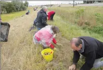  ?? SUBMITTED PHOTO ?? A crew of volunteers planting daffodil bulbs on Sept. 23.