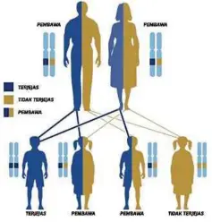  ??  ?? UJIAN genetik membantu mengesan masalah penyakit SMA pada kanak-kanak.