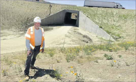  ?? WILL LESTER — STAFF PHOTOGRAPH­ER ?? Wildlife biologist Paul Gonzales stands near one of two wildlife tunnels being installed during the 60Freeway widening project in the Badlands area east of Moreno Valley on June 4. The tunnels, he said, will help a variety of wildlife species travel north and south without the hazards of crossing the freeway. Each underpass cost about $7.5million.