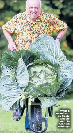  ?? Pictures: ANDREW MCCAREN / LNP, GETTY ?? What a monster... Ian Neale wheels out his winning cabbage