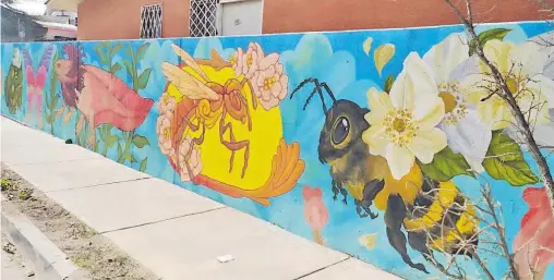  ?? FOTOS: ORACIO CHÁVEZ ?? Mural artístico comunitari­o sobre la flora y fauna