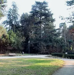  ??  ?? Tempio botanico Uno scorcio del Parolini prima dei lavori (archivio)