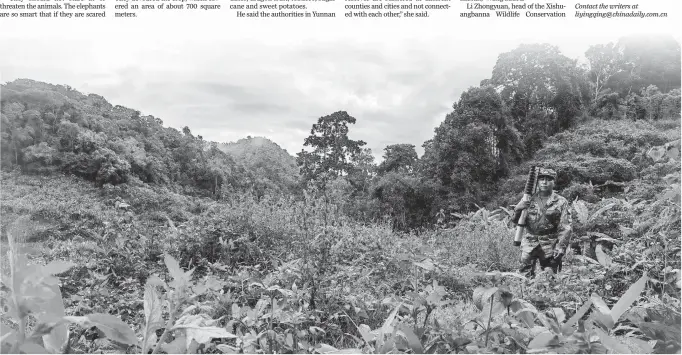  ?? WANG JING / CHINA DAILY ?? Li Zhongyun, a forest ranger and elephant observer, patrols mountains in Xishuangba­nna Dai autonomous prefecture, Yunnan.