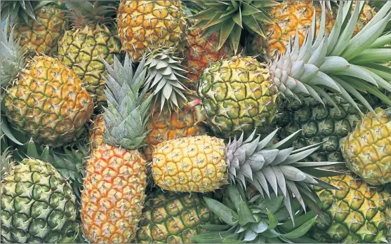  ?? PHOTOGRAPH: SHUTTERSTO­CK ?? In times past head gardeners were tasked with ensuring pineapples ripened in time for the Christmas feast, as opposed to summertime