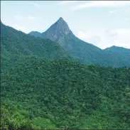  ?? CHEN LIANG / CHINA DAILY ?? The Jianfengli­ng Mountains in Hainan province are home to China’s largest virgin tropical rainforest.