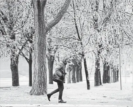  ?? JUSTIN TANG THE CANADIAN PRESS ?? A man passes ice laden trees as a storm brings freezing rain in Ottawa on Monday. Hydro One said its crews were working Monday to reconnect more than 97,000 customers.