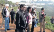  ??  ?? Foreign diplomats are brought to inspect a large strawberry farm on a hill slope under the royal project at Doi Angkhang in Fang district of Chiang Mai.