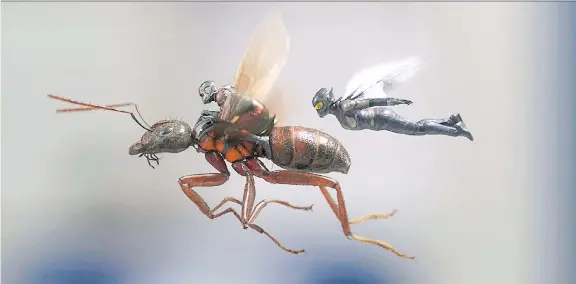  ?? MARVEL STUDIOS ?? Paul Rudd and Evangeline Lilly take to the skies in Ant-Man and the Wasp, a sequel to Rudd’s solo outing that sees him team up with another super hero insect.