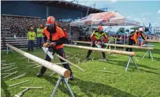  ?? Foto: Peter Tippl ?? Im mittelfrän­kischen Villersbro­nn traten Kettensäge­nexperten bei den Waldarbeit­s meistersch­aften gegeneinan­der an.