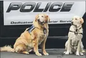  ??  ?? SCOTTIE, LEFT, AND MEREDITH, at the funeral of a Montebello police officer. Scottie, who works in Hawthorne, was the first facility dog in the state.