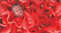  ?? PICTURE: AP ?? Don Feathersto­ne, creator of the original plastic pink flamingo, surrounded by the plastic creatures at Union Products in the US.