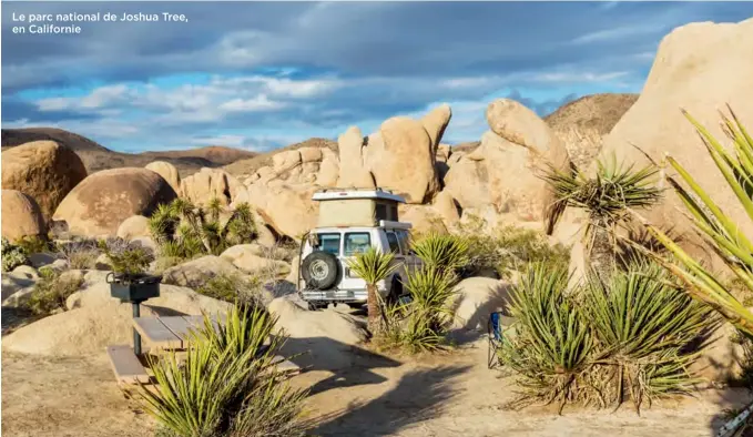  ??  ?? Le parc national de Joshua Tree, en Californie