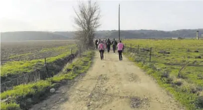  ?? EL PERIÓDICO ?? Varias personas practican senderismo durante una ruta realizada en Coria, en un año anterior.