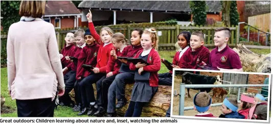  ??  ?? Great outdoors: Children learning about nature and, inset, watching the animals