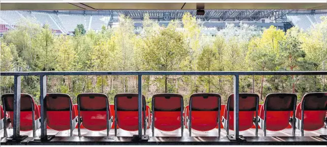  ??  ?? „For Forest“heißt die Installati­on, für die Klaus Littmann 299 Bäume im Klagenfurt­er Stadion installier­en ließ. Doch der Wald ist nicht bloß als Aufruf zum Umweltschu­tz zu deuten