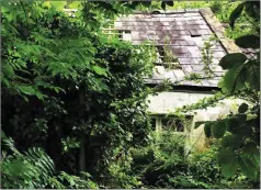  ??  ?? LEFT and RIGHT: Views today of Con Houlihan’s dilapidate­d house near Castleisla­nd