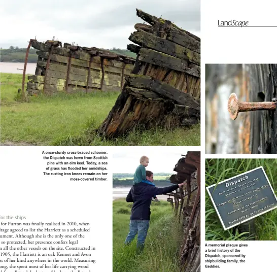  ??  ?? A once-sturdy cross-braced schooner, the Dispatch was hewn from Scottish pine with an elm keel. Today, a sea of grass has flooded her amidships. The rusting iron knees remain on her moss-covered timber.
A memorial plaque gives a brief history of the...