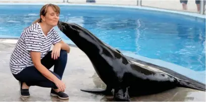  ??  ?? Tourist attraction Observer reporter Kaiya Marjoriban­ks meets the park’s sea lions