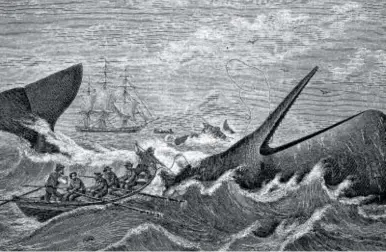  ?? // ABC ?? Ilustració­n de ‘Moby Dick’