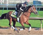  ?? JAMIE RHODES/USA TODAY SPORTS ?? Exercise rider Amelia Green works out Kentucky Derby hopeful Audible at Churchill Downs.