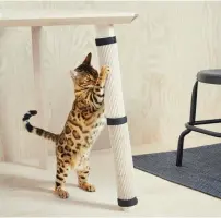 ??  ?? 毛孩愛磨爪？附魔術貼的貓爪墊可以­令餐檯檯腳瞬間變成抓­柱。