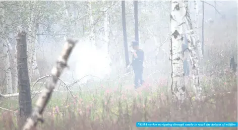  ?? Photo by B.MUNKH-ERDENE ?? NEMA worker navigating through smoke to reach the hotspot of wildfire