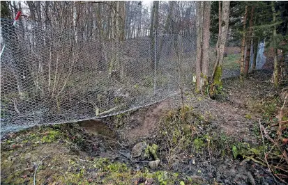  ??  ?? Aus dem „Türl mit Seitenteil­en“(Copyright Bundeskanz­ler Werner Faymann) wurde ein Zaun mit Lücken, wie man in den Wäldern um Spielfeld sehen kann. Bewirken werde das nichts, meint der Autor.