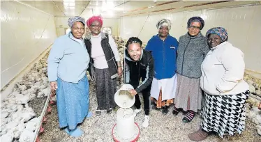  ?? Picture: BRIAN WITBOOI ?? HATCHING A PLAN: Farming chickens in Jansenvill­e are, from left, Noluthando Hans, Nosakhele Betsha, Thembakazi Jeyi, Martha Ndoni, Sanna Mapela and Esta Williams