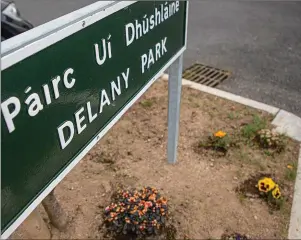  ??  ?? The first phase of Delaney Park in Arklow was completed in 2019.