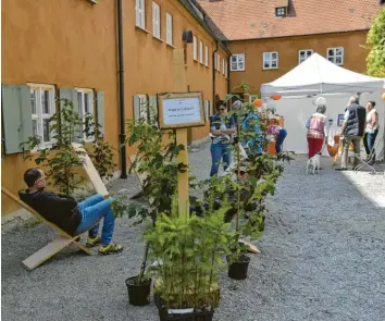  ?? Foto: Piet Bosse ?? Die Fuggerei feiert ihr 500‰jähriges Bestehen mit vielen Aktionen, unter anderem einer Waldstatio­n.