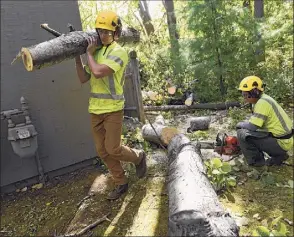  ?? Lori Van Buren / Times Union ?? Luke Day of Davey Tree Service removes pieces of a large tree on Thursday which fell on a fence outside a unit at Woodlake Apartments.