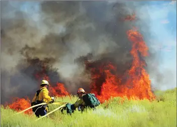  ?? Rick McClure/For The Signal ?? Los Angeles County Fire Department personnel set up hoses as they battle the Ridge Fire in Gorman on Monday. The fast-moving fire resulted in the closure of Highway 138 in both directions and the evacuation of residents south of the highway Monday afternoon.