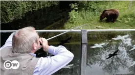  ??  ?? A zoo worker shoots a shot of anaestheti­c at a bear in a German zoo