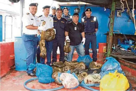  ?? FILE PIC ?? Enforcemen­t officers with pangolins seized from a smuggler’s boat in Bintulu in April.