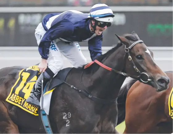  ?? Picture: DEAN MARTIN ?? It’s been two years since Abbey Marie’s last win in the Oaks in Adelaide but her stable is confident of success in the Doomben Cup.