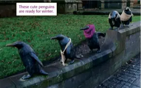  ??  ?? These cute penguins are ready for winter.