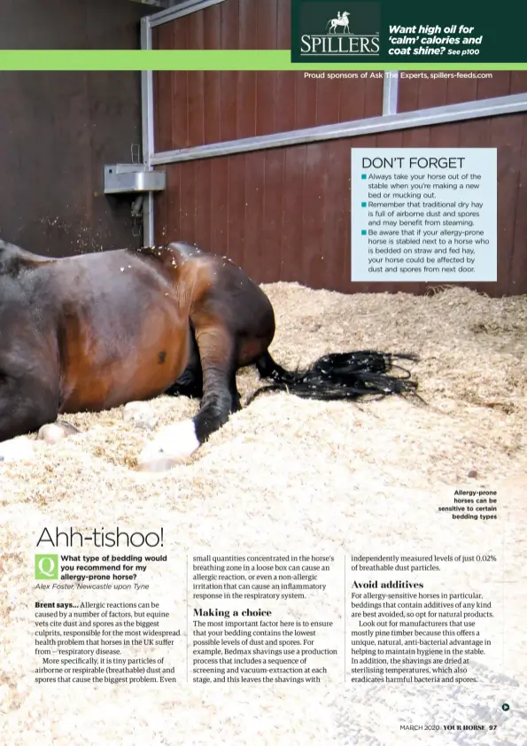  ??  ?? Allergy-prone horses can be sensitive to certain bedding types