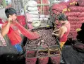  ?? —GRIG C. MONTEGRAND­E ?? PRICEY SPICE Vendors sort red onions at Balintawak public market in Quezon City in this Nov. 17 photo. Red onions, mostly harvested from Nueva Ecija, now sell for P300 a kilo.