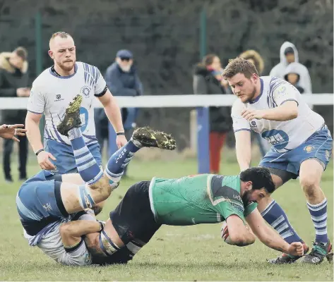  ?? PICTURE: MICK SUTTERBY ?? Will Nankevil catches a Grasshoppe­r by his legs.