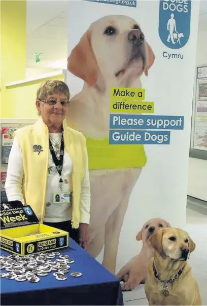  ??  ?? Ann Boland, and her guide dog Flora on their stall at Prince Charles Hospital in Merthyr Tydfil – they now need a new home