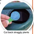  ?? ?? Cut back straggly plants and apply a liquid feed as plants recover
